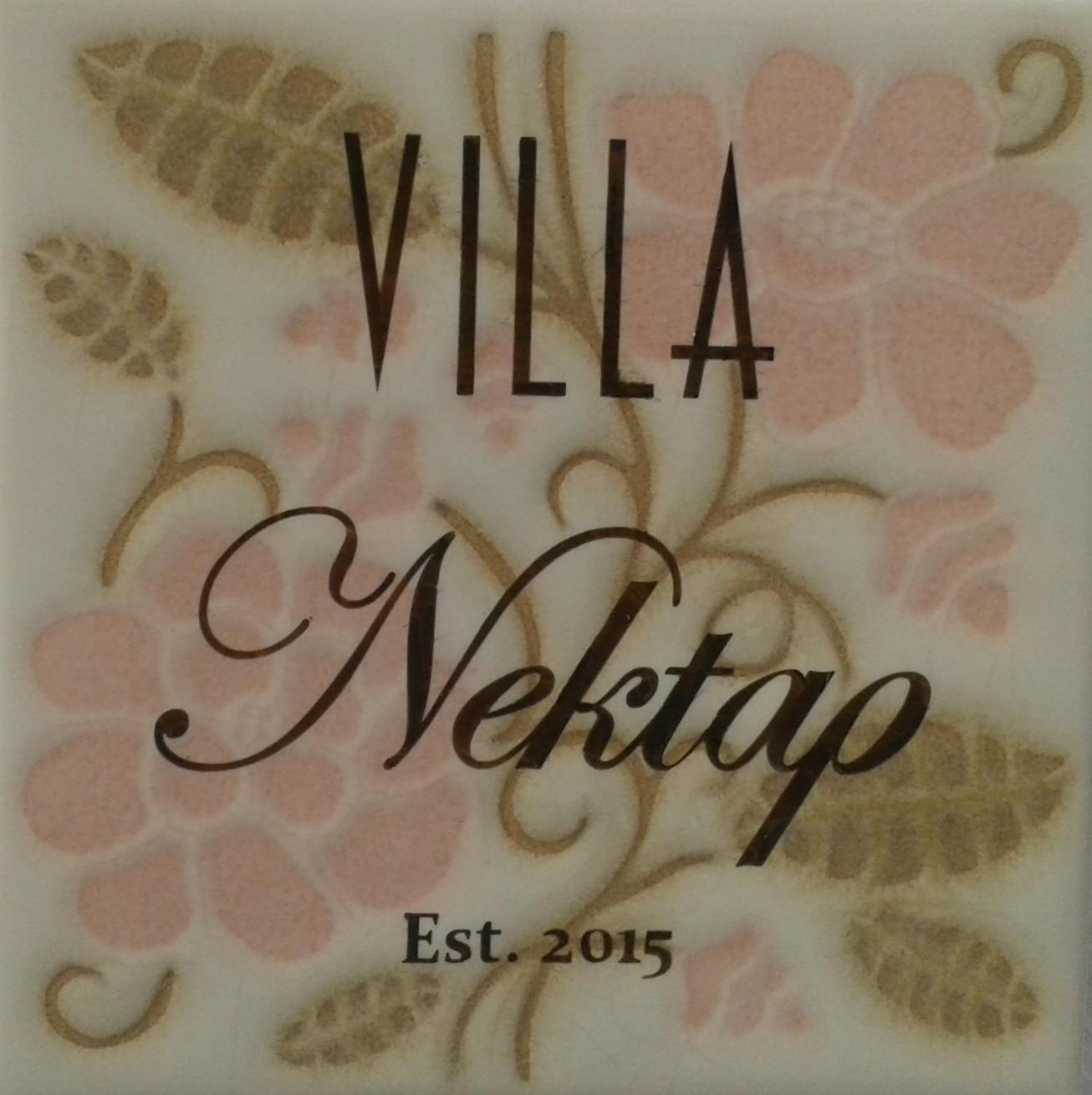 Villa Nektar Naxos City Dış mekan fotoğraf
